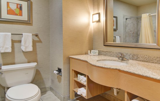Comfort Suites Lindale Tyler North - Bathroom