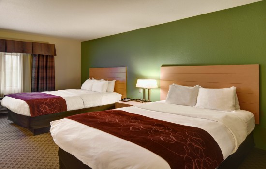 Comfort Suites Lindale Tyler North - Queen Bed